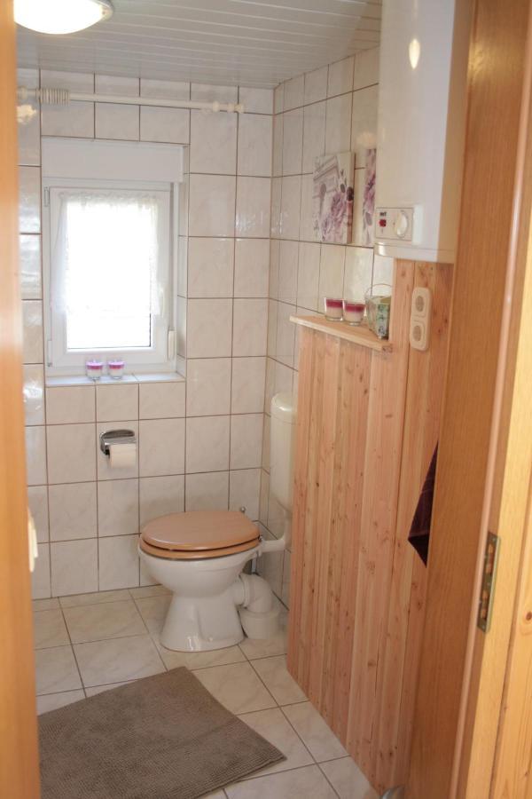Ferienhaeuser Ohratalsperre Luisenthal Ngoại thất bức ảnh